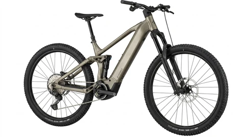BERGAMONT E-Revox FS 10 Test